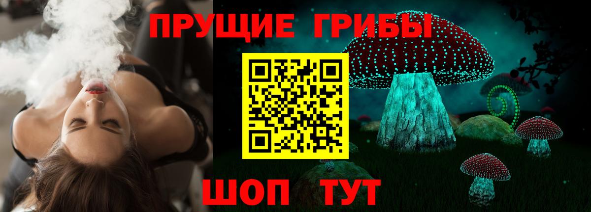 Прокопьевск  Псилоцибиновые грибы прущие грибы  Псилоцибиновые грибы прущие грибы  Вход с VPN 